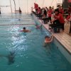Úszás diákolimpia Békéscsabán