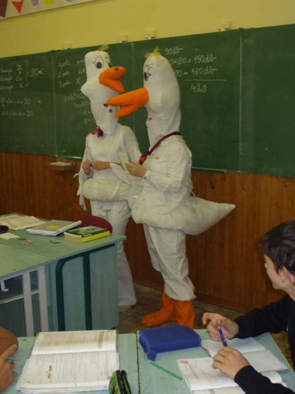 26