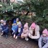 Karácsonyi díszítés a város parkjában