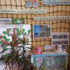 „Kertész leszek, fát nevelek…” Digitális témahét a 2.c osztályban