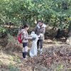 Környezetünk védelméért!  Mezőberény-i Általános Iskola 4. c2  osztálya a TeSzedd!