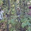 Környezetünk védelméért!  Mezőberény-i Általános Iskola 4. c2  osztálya a TeSzedd!