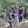 Környezetünk védelméért!  Mezőberény-i Általános Iskola 4. c2  osztálya a TeSzedd!