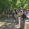 Osztálykirándulás a Szegedi Vadasparkban
