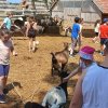 Osztálykirándulás - Pusztaottlaka Safari Park