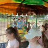 Osztálykirándulás - Pusztaottlaka Safari Park