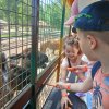Osztálykirándulás - Pusztaottlaka Safari Park