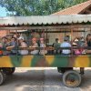 Osztálykirándulás - Pusztaottlaka Safari Park