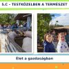 Pályaorientáció 5. évfolyam 2026