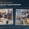 Pályaorientáció 7. évfolyam 2026
