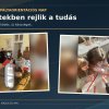 Pályaorientáció 7. évfolyam 2026