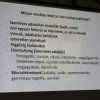 Rendhagyó osztályfőnöki órák a felső tagozaton