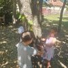 Természeti környezetünk
