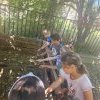 Természeti környezetünk