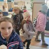 XXXVI. Zrínyi Ilona Matematikaverseny területi forduló